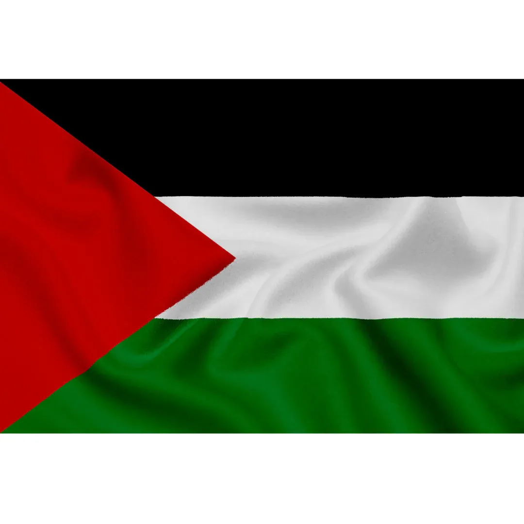 موعد مباراة الكويت ضد فلسطين في تصفيات كأس العالم 2026 1 موعد مباراة الكويت ضد فلسطين