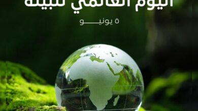 موعد اليوم العالمي للبيئة 2025
