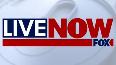 fox news live