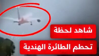 الناجي الوحيد