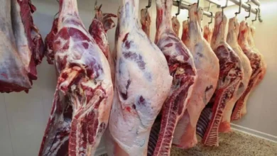 نصائح لاختيار اللحوم الطازجة