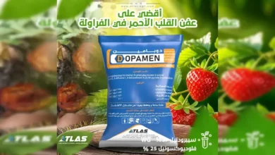 القلب الاحمر