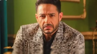 محمد حماقي