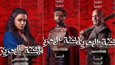 قصة مسلسل مملكة الحرير