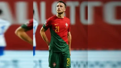 إنجازات ديوجو جوتا مع البرتغال