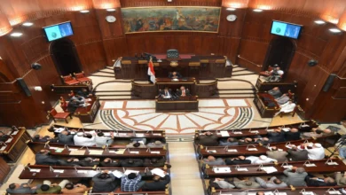 موعد انتخابات مجلس الشيوخ 2025
