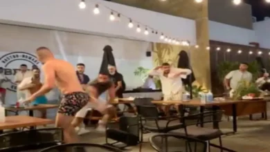 بالفيديو ما هو شجار الساحل الشمالي الذي تصدر التريند..