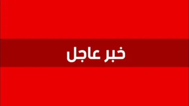 من هو يحيى بدوي المصري ؟ وقصة القبض علية بعد 30 عامًا من المطاردة