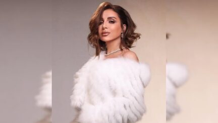متى موعد عودة أنغام إلى مصر .. رحلة علاجية ناجحة وتفاصيل استقبالها