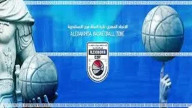 منطقة الإسكندرية للسلة