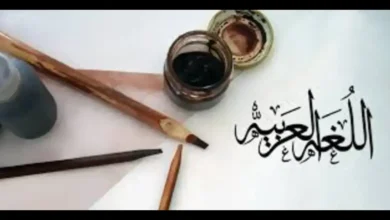حل امتحان اللغة العربية الشهادة الإعدادية بني سويف