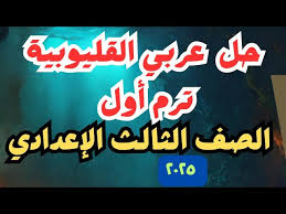 نموذج إجابة امتحان عربي تالتة إعدادي القليوبية 2026 مع التحليل الشامل