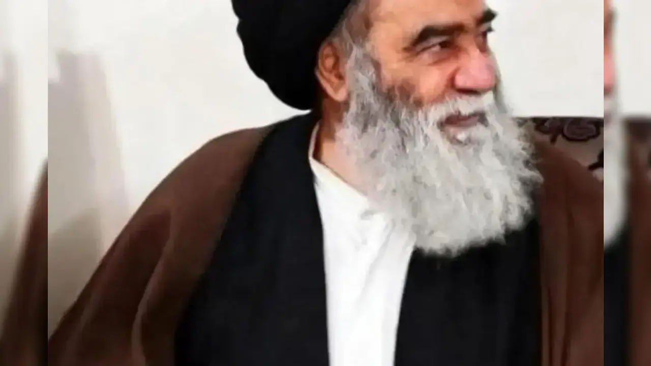 سبب وتفاصيل وفاة هادي السيستاني