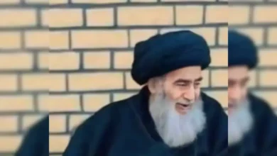 كم عمر هادي السيستاني الحقيقي عند الوفاة