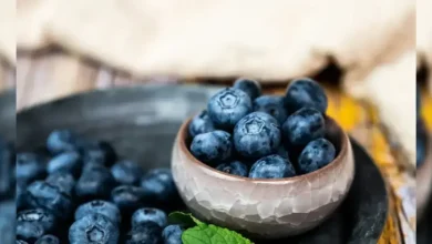 فوائد التوت الأزرق الصحية 2026: لماذا يجب أن يكون "السوبر فود" الأول في نظامك الغذائي؟