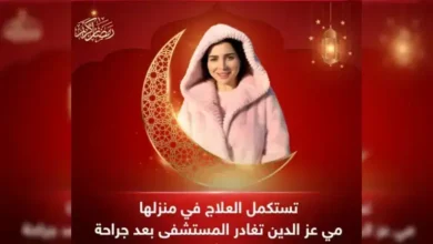 مي عز الدين